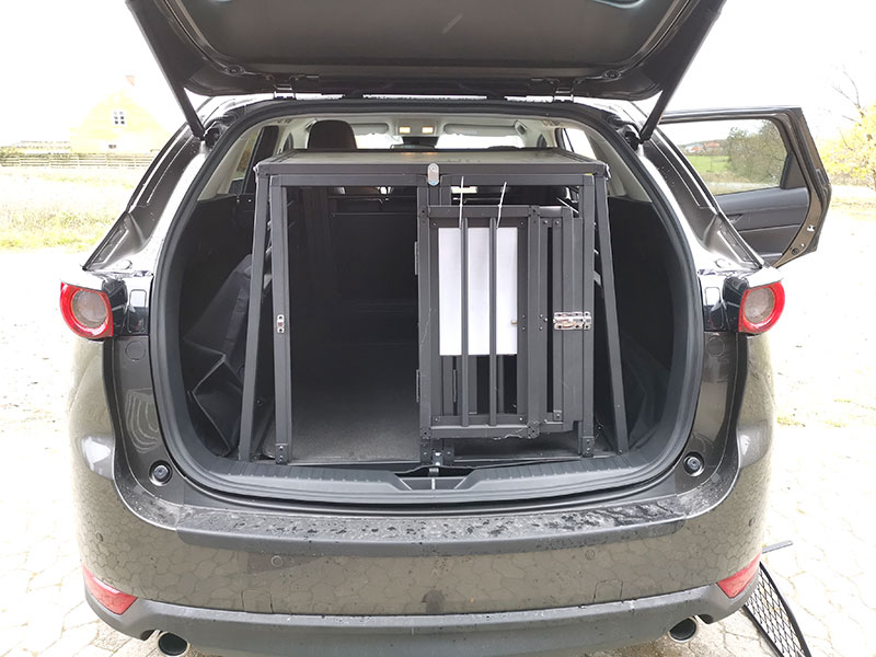 2:a gen KF (ca. 2017 -> idag) 2:a gen KF (ca. 2017 -> idag)