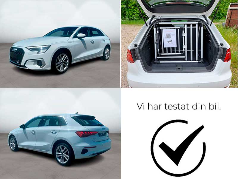 8Y e-tron (ca. 2021 -> idag) 8Y e-tron (ca. 2021 -> idag)